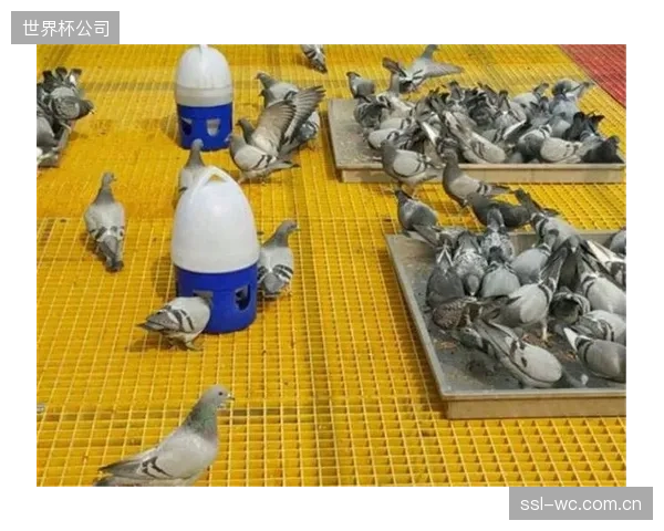 因玻璃钢面板慢性蠕变引发的事故，是否会被商业保险公司以“自然老化”为由拒赔？